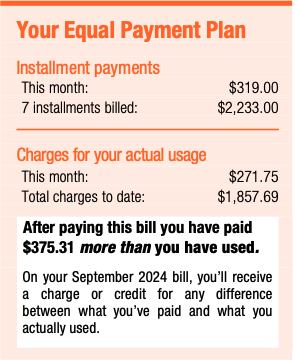Going Solar - electric bill 